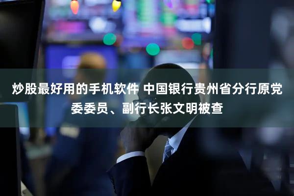 炒股最好用的手机软件 中国银行贵州省分行原党委委员、副行长张文明被查