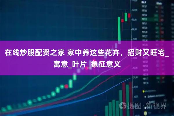 在线炒股配资之家 家中养这些花卉，招财又旺宅_寓意_叶片_象征意义