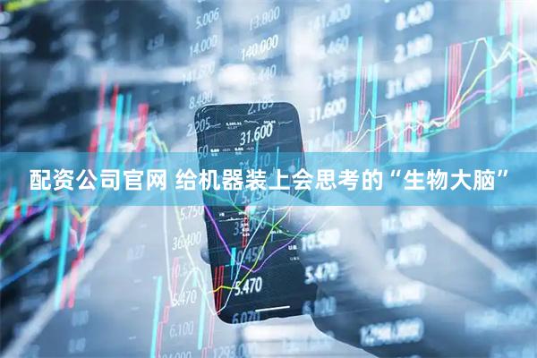 配资公司官网 给机器装上会思考的“生物大脑”